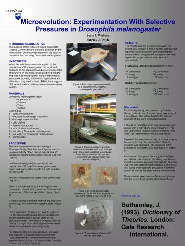 Microevolution: Experimentation With Selective Pressures in Drosophila melanogaster
