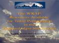 WRAP Intro for Tribes PowerPoint PPT Presentation