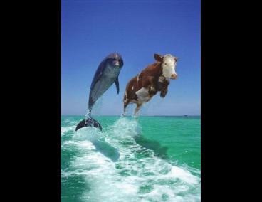 Freshwater Resources