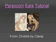 Persocom Ears Tutorial PowerPoint PPT Presentation