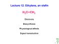 Lecture 12: Ethylene, an olefin PowerPoint PPT Presentation