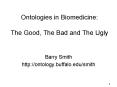 Ontologies in Biomedicine: The Good, The Bad and The Ugly PowerPoint PPT Presentation
