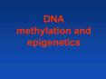 DNA methylation and epigenetics PowerPoint PPT Presentation