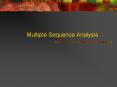 Multiple Sequence Analysis PowerPoint PPT Presentation