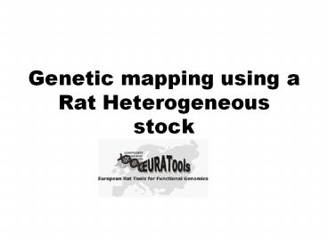 Genetic%20mapping%20using%20a%20Rat%20Heterogeneous%20stock