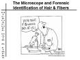 The Microscope and Forensic Identification of Hair PowerPoint PPT Presentation