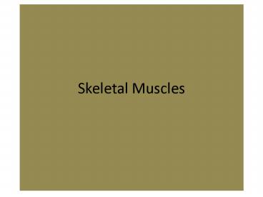 presentation player overlay