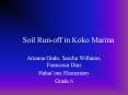 Soil Run-off in Koko Marina PowerPoint PPT Presentation