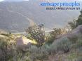 xeriscape principles DESERT APPRECIATION 101 PowerPoint PPT Presentation