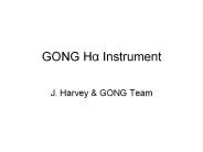 GONG Ha Instrument