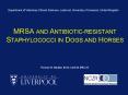 MRSA AND ANTIBIOTICRESISTANT STAPHYLOCOCCI IN DOGS AND HORSES PowerPoint PPT Presentation
