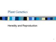 Plant Genetics