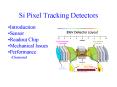 Si Pixel Tracking Detectors PowerPoint PPT Presentation