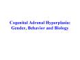 Cogenital Adrenal Hyperplasia: Gender, Behavior and Biology PowerPoint PPT Presentation