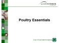Poultry Essentials PowerPoint PPT Presentation