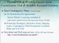 Florida Fish PowerPoint PPT Presentation