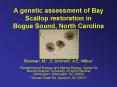 A genetic assessment of Bay Scallop restoration in Bogue Sound, North Carolina PowerPoint PPT Presentation