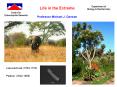 Life in the Extreme PowerPoint PPT Presentation
