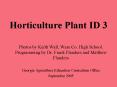 Horticulture Plant ID 3 PowerPoint PPT Presentation