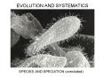 EVOLUTION AND SYSTEMATICS PowerPoint PPT Presentation