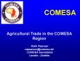 COMESA PowerPoint PPT Presentation