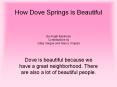How Dove Springs is Beautiful PowerPoint PPT Presentation