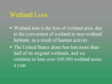 Wetland Loss