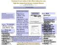 High-dose (600 to 1200 mg/day) oral magnesium treatment is effective in rapidly terminating depression, habituations, loss of intelligence, attention and memory, treating other neuroses including anxiety, hyper-emotionality, fatigue, panic, headaches, PowerPoint PPT Presentation