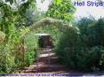 Hell Strips PowerPoint PPT Presentation