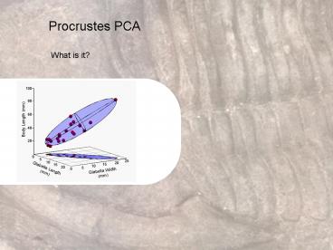 Procrustes PCA