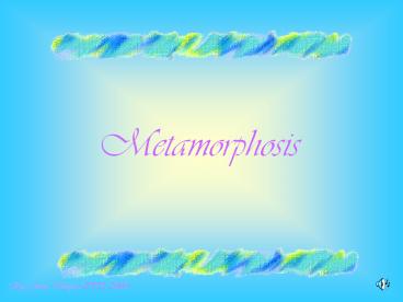 Metamorphosis