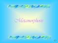 Metamorphosis PowerPoint PPT Presentation