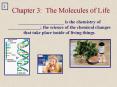 Chapter 3: The Molecules of Life PowerPoint PPT Presentation