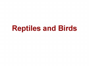 Reptiles and Birds