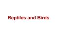 Reptiles and Birds PowerPoint PPT Presentation