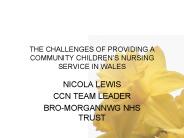 THE CHALLENGES OF PROVIDING A COMMUNITY CHILDREN