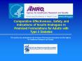 AHRQ Slide Template 2004 PowerPoint PPT Presentation