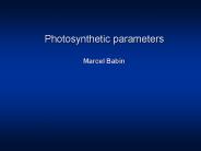Photosynthetic parameters Marcel Babin