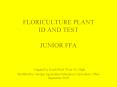 FLORICULTURE PLANT ID AND TEST JUNIOR FFA Original by Keith Wall, Ware Co' High Modified by Georgia PowerPoint PPT Presentation