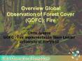 Overview Global Observation of Forest Cover GOFC: Fire PowerPoint PPT Presentation