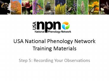 USA National Phenology Network Training Materials