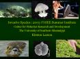 Invasive Species : 2003 COSEE Summer Institute Center for Fisheries Research and Development The University of Southern Mississippi Kirsten Larsen PowerPoint PPT Presentation