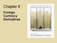 Foreign%20Currency%20Derivatives