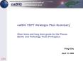 caBIG and TBPT Activities PowerPoint PPT Presentation