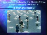 Mainstreaming Biodiversity and Climate Change in National Poverty Reduction