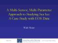 A MultiSensor, MultiParameter Approach to Studying Sea Ice: A CaseStudy with EOS Data PowerPoint PPT Presentation