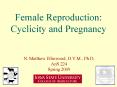 Female Reproduction: Cyclicity and Pregnancy PowerPoint PPT Presentation