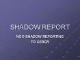 SHADOW REPORT PowerPoint PPT Presentation