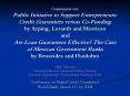 Comments on: Public Initiative to Support Entrepreneurs: Credit Guarantees versus Co-Funding by Arping, Loranth and Morrison  and Are Loan Guarantees Effective? The Case of Mexican Government Banks  by Benavides and Huidobro PowerPoint PPT Presentation