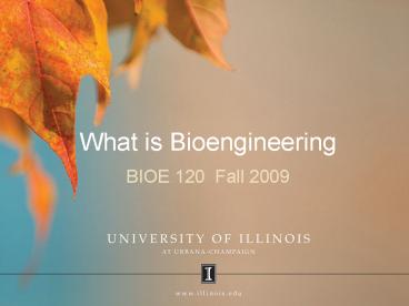 What is Bioengineering